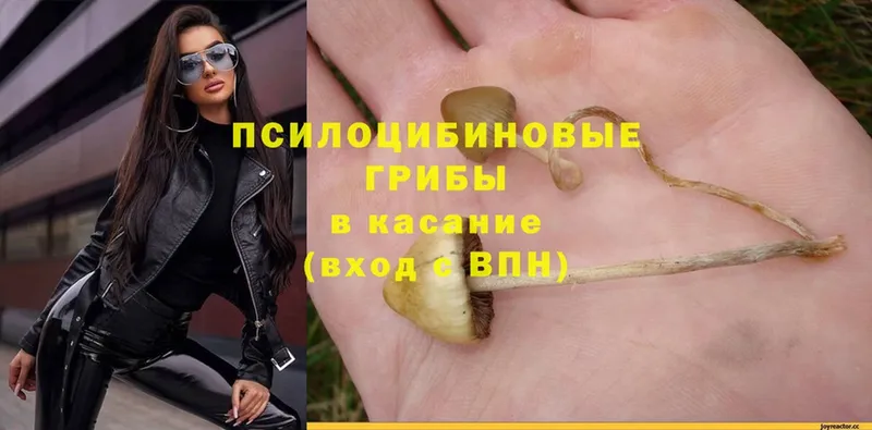 OMG ССЫЛКА  Белоярский  Галлюциногенные грибы MAGIC MUSHROOMS  где купить наркотик 